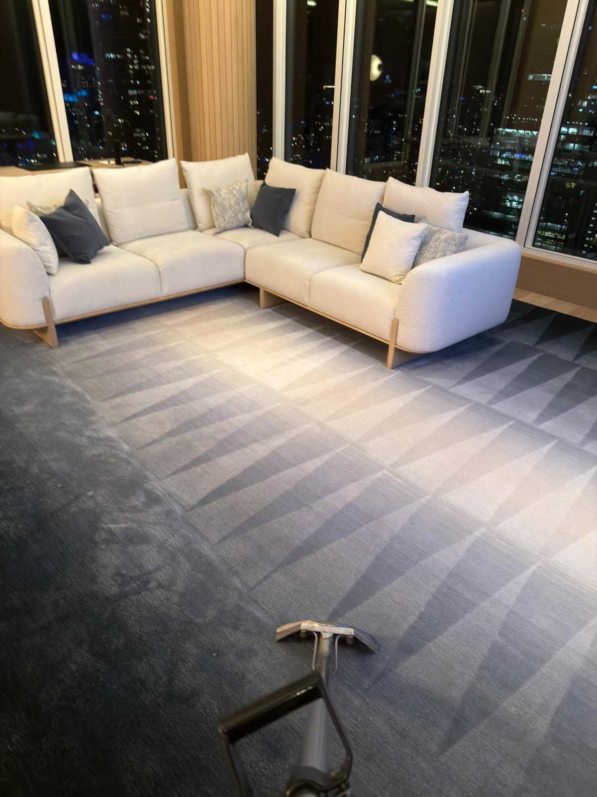 Area rug cleaning